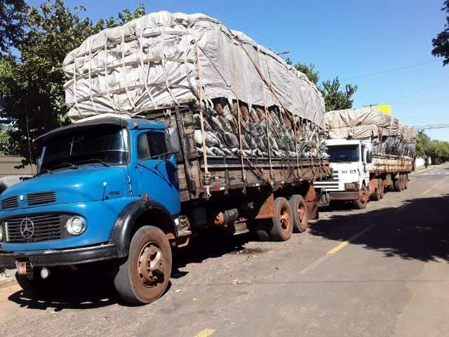  Carvoaria &eacute; multada em R$ 49,2 mil por transportar carga ilegal