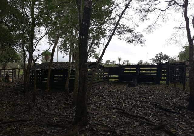 Fazendeiro &eacute; multado por usar &aacute;rea de vegeta&ccedil;&atilde;o protegida como curral