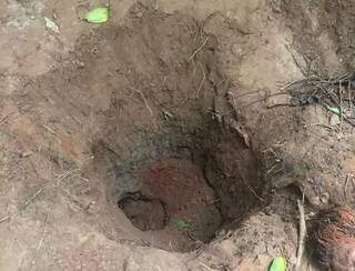 Mãe enterrou a filha de cabeça para baixo em um buraco, próximo ao lixão da cidade (Foto: Perfil News)