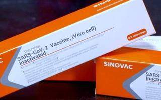 Vacina Coronavac, uma das que está sendo aplicada na população brasileira. (Foto: Agência Brasil)