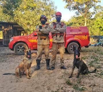 Cadelas sul-mato-grossenses agora são parte da "elite nacional" dos bombeiros