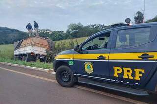 Caminhão saiu da pista depois que motorista pulou do veículo (Foto: Divulgação/PRF MS)