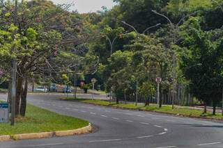 Avenida Lúdio Martins Coelho, arborizada e com ruas largas. (Foto: Marcos Maluf)