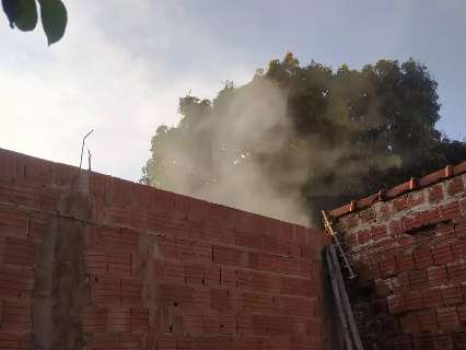 Sofrendo com sequelas da covid, moradora denuncia queima de lixo em residência