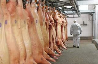 Carcaças de carne in natura exportadas ao exterior (Foto: Divulgação)