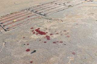 Marcas de sangue do lhasa apso, atacado no último domingo, ficaram em calçada (Foto: Henrique Kawaminami)