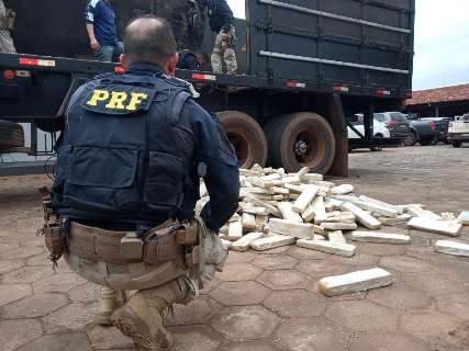Motorista é preso com 591 quilos de maconha em fundo falso de caminhão