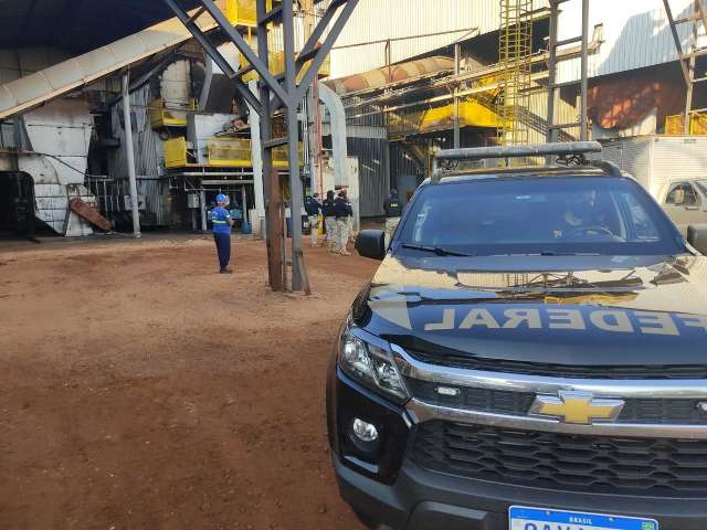PF faz 1&ordf; incinera&ccedil;&atilde;o de drogas do ano em cidade de MS: 4,3 toneladas