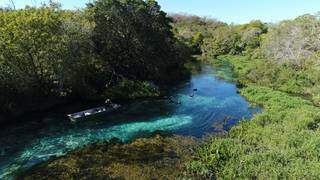 Trecho de rio em Bonito, um dos principais pontos turísticos e paraísos no meio ambiente sul-mato-grossense (Foto: Divulgação/Fundtur))