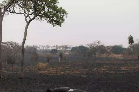 Incêndios no Pantanal reduzem, mas MS se prepara para meses mais secos