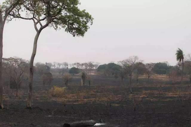 Inc&ecirc;ndios no Pantanal reduzem, mas MS se prepara para meses mais secos