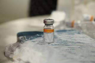 Ampola com vacina contra covid em posto da Capital (Foto: Kísie Ainoã)