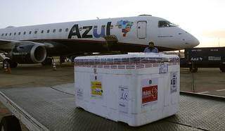 Remessa de vacinas chegando no Aeroporto de Campo Grande. (Foto: Edemir Rodrigues/Governo do Estado)