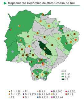 Ao longo da pandemia foram encontradas mutações em 48 municípios de MS (Divulgação)