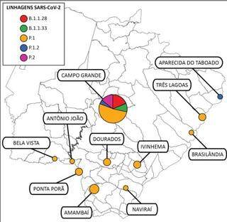 Última análise, com 37 amostras, revelou predominância da variante P1 - mais contagiosa (Foto Divulgação)
