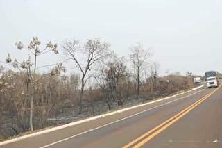 Vegetação às margens da BR-262, em Aquidauana, queimada de forma descontrolada (Foto: Arquivo)