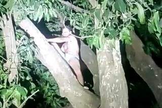 Suspeito tirou a roupa e subiu em uma árvore para se enconder (Foto: Divulgação PM)