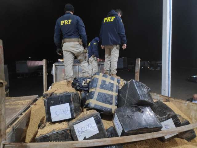 Motorista &eacute; preso com 10 toneladas de maconha escondida em carga de soja