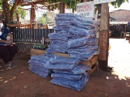 Campanha arrecada roupas e cobertores para quem vive em favela; veja onde doar