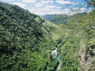 Parque Nacional da Serra da Bodoquena abriga bioma da Mata Atlântica. (Foto: Divulgação)
