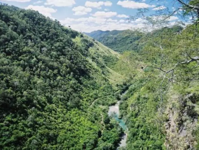 Mais de um campo de futebol ao dia: Bonito lidera desmatamento da Mata Atl&acirc;ntica