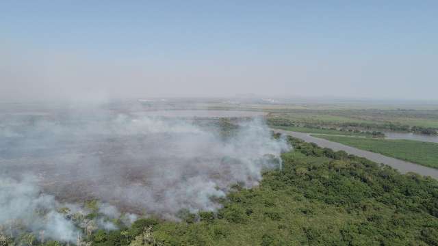 Governo do Estado suspende &ldquo;queima controlada&rdquo; no Pantanal at&eacute; 30 de outubro 