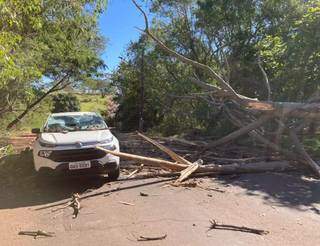 Caminhonete ficou com parabrisa frontal danificado (Foto: Mariely Barros) 