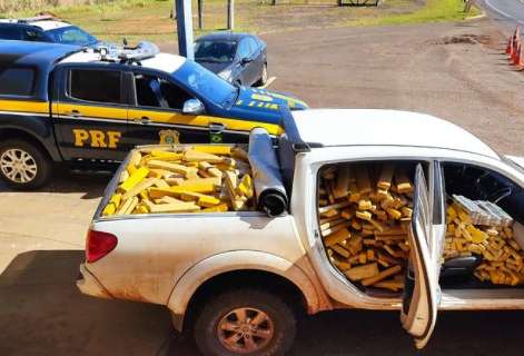 Polícia apreende 1,1 tonelada de maconha em caminhonete furtada 