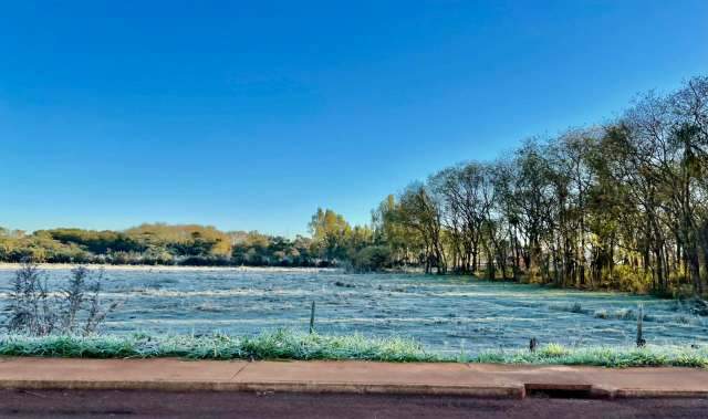 Frio est&aacute; indo embora, mas sexta-feira ainda teve geada em MS