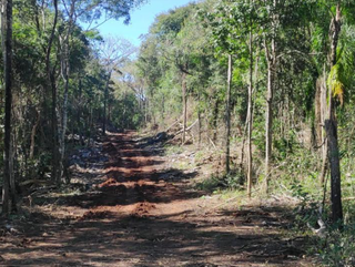 Estrada de quatro quilômetros foi aberta sem licença ambiental. (Foto: Divulgação/PMA)