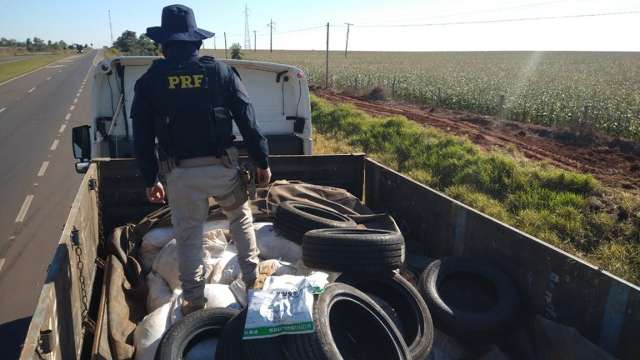 Motorista &eacute; preso transportando 4 toneladas de agrot&oacute;xicos