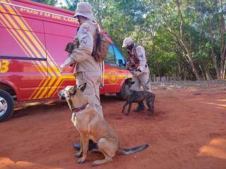 Cães farejadores na chegada para auxílio nas buscas (Foto: Marcos Maluf)