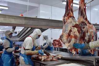Exporta&ccedil;&otilde;es de MS no 1&ordm; semestre aumentam quase 16% em rela&ccedil;&atilde;o ao ano passado