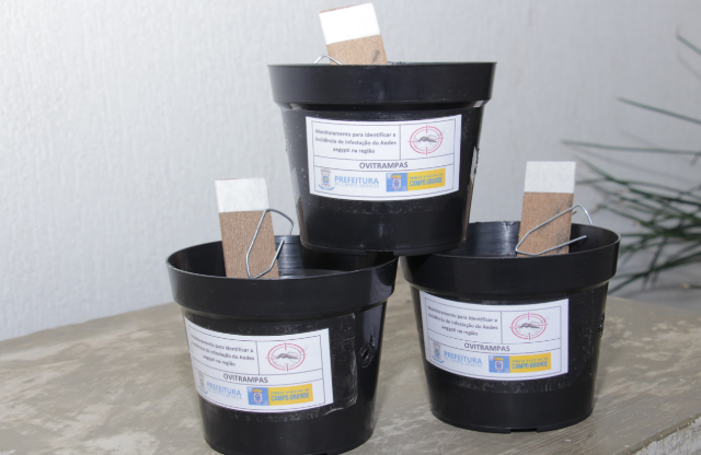 Im&oacute;veis da Capital recebem 2,5 mil vasos de plantas com armadilha para mosquito