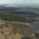 Incêndio no Banhado do Rio da Prata já devastou 1500 hectares de vegetação 