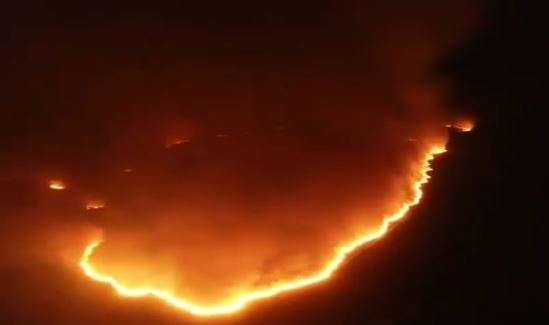 Inc&ecirc;ndio de grandes propor&ccedil;&otilde;es devasta vegeta&ccedil;&atilde;o no Banhado do Rio da Prata