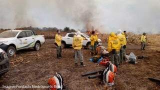 Equipes de brigadistas do ICMBIO (Instituto Chico Mendes de Conservação da Biodiversidade) no local do incêndio (Foto: Fundação Neotrópica)