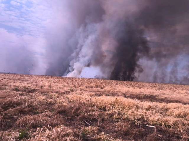 Dois avi&otilde;es v&atilde;o ajudar no combate ao inc&ecirc;ndio no Banhado do Rio da Prata