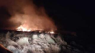 Fogo destr&oacute;i mais de 100 hectares de vegeta&ccedil;&atilde;o em fazenda do interior