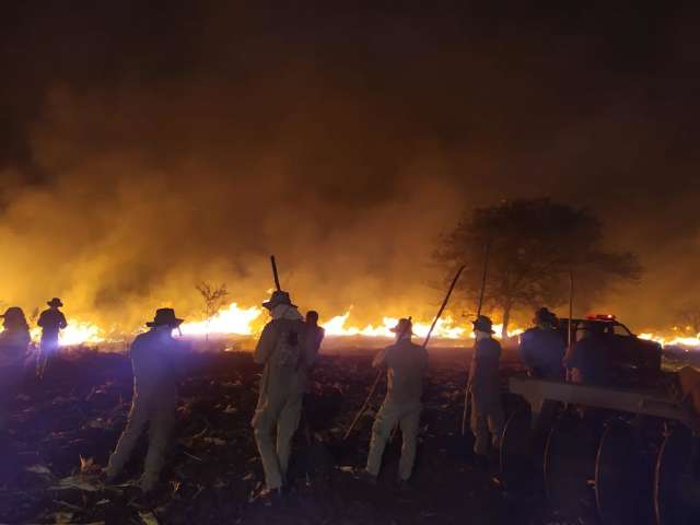 Sobe para 2,7 mil hectares &aacute;rea devastada por fogo no Banhado do Rio da Prata