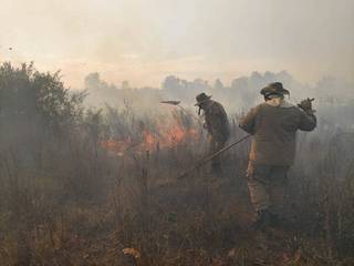 Militares no combate aos focos de incêndio (Foto: CBMMS)