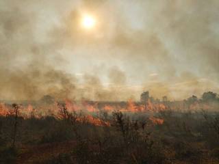Fogo segue avançando pela vegetação seca (Foto: Corpo de Bombeiros)