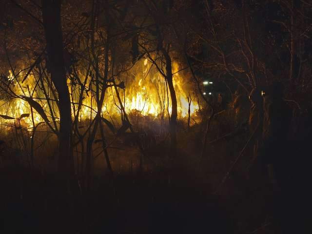 Inc&ecirc;ndio no Banhado do Rio da Prata j&aacute; devastou 3 mil hectares de vegeta&ccedil;&atilde;o