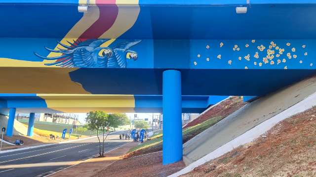 Embelezamento de viaduto na Cear&aacute; &eacute; entregue e d&aacute; cores a cruzamento