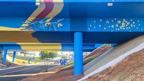 Embelezamento de viaduto na Ceará é entregue e dá cores a cruzamento