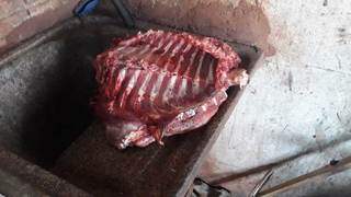 Cerca de 20 quilos de carnes de animais silvestres foram apreendidas, no local (Foto: Direto das Ruas)