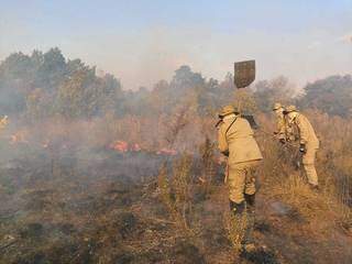 Bombeiros apagam fogo em fazenda no Pantanal (Foto: Divulgação)