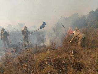 Bombeiros usam abafadores para combate aos focos de calor no Pantanal (Foto: Divulgação | Corpo de Bombeiros)