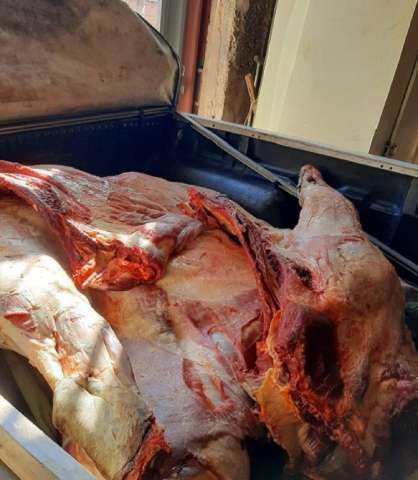 Vigil&acirc;ncia apreende 389 kg de carne podre e de abate clandestino em a&ccedil;ougue