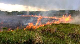 MS voltou a registrar casos de incêndios e suspensão de queima controlada faz parte de medidas de segurança (Foto/Divulgação)
